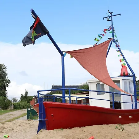Ringelblume Auf Dem Ostsee-ferienhof